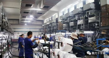 鏡頭記錄變遷，筆墨書寫新篇——十字路街道舉辦攝影與文學創作采風活動